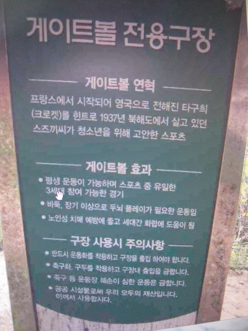 게이트볼, 부모님께 권해볼까?_1