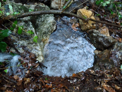 수원천 발원지에 하심비(下心碑)를 세우자 _1