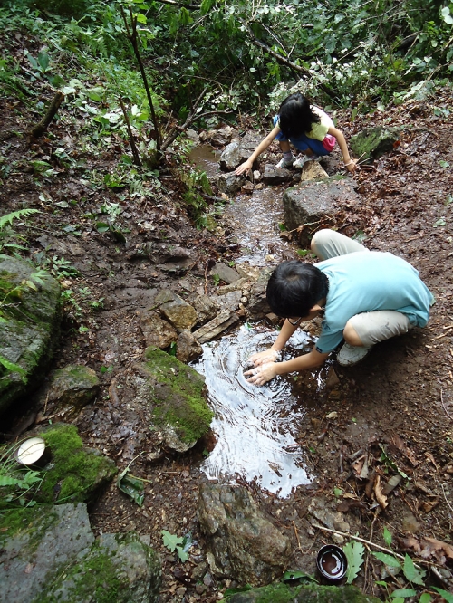 앗! 수원천 발원지에 가재가 있네?_4