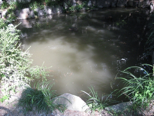 모유수유엔 잉어를 추천합니다_2