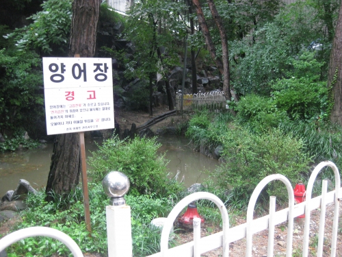 모유수유엔 잉어를 추천합니다_1