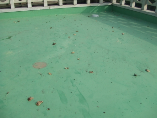 화려한 불꽃향연 뒤에 남은 불꽃 파편_3