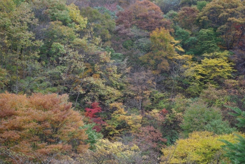 편집해서라도 좋은 것만을 생산해 낼 수만 있다면 _2