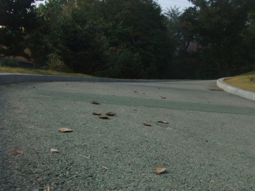 화려한 불꽃향연 뒤에 남은 불꽃 파편_4