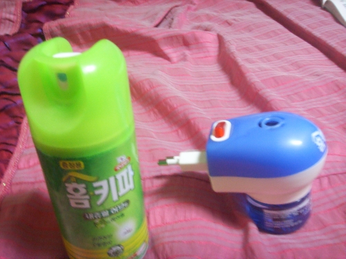 모기와의 한판, 추억을 생각나게 하다_1