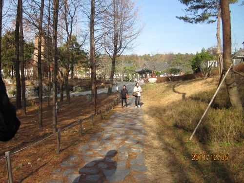 봉녕사 묘엄스님 빈소 추모 행렬을 보고_1