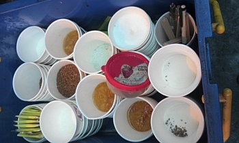 지동도너츠 참 맛있습니다_4