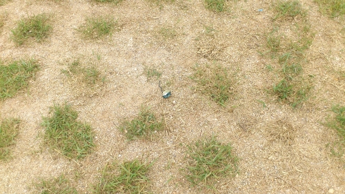 버리는 손 부끄러운 손_1