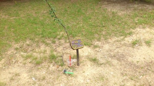 버리는 손 부끄러운 손_2