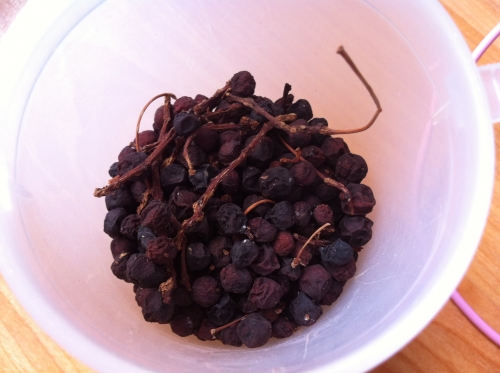 오미자차로 건강한 여름나기_1