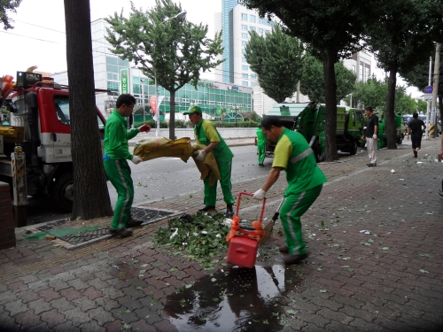 태풍 볼라벤이 쓸고간 자리 일제대청소_3