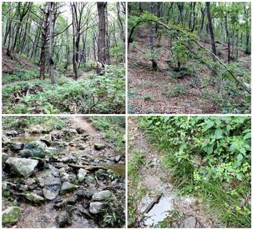 700여년의 역사를 가진 광교산 '고려 창성사지' 가다_2