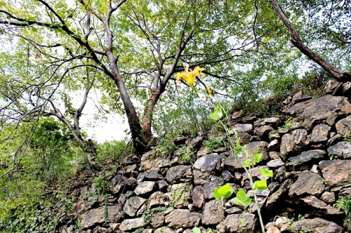 700여년의 역사를 가진 광교산 '고려 창성사지' 가다_1