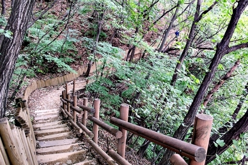 광교산 삼림욕과 함께한 걷기 좋은 '지게길' _1
