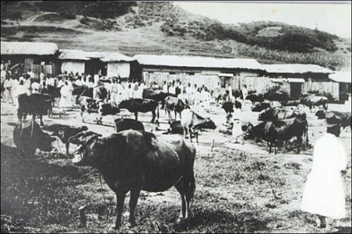 '수원갈비'에는 이런 역사가 있네_2