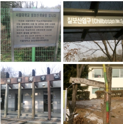 칠보산에선 혼자의 산행도 외롭지 않아_1