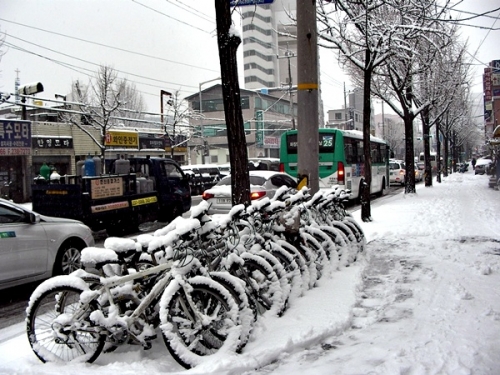 초겨울 폭설, '수원 SNS' 또한번 빛났다_1