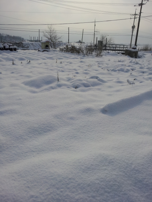 성탄절 아침에 어릴적 추억에 젖어_1