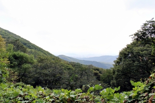 광교산(光敎山)의 의미를 되새겨보자_1