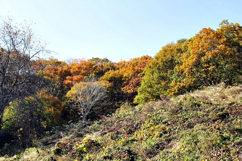 광교산(光敎山)의 의미를 되새겨보자_3