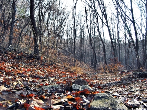 광교산(光敎山) 국사들이 오르던 길을 걷다_1