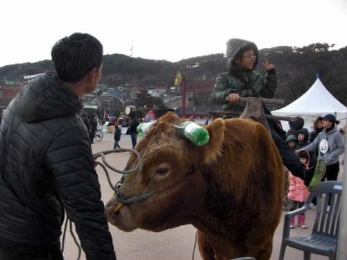 어렸을 적 추억이 새록새록.. 대보름 민속놀이 한마당_2