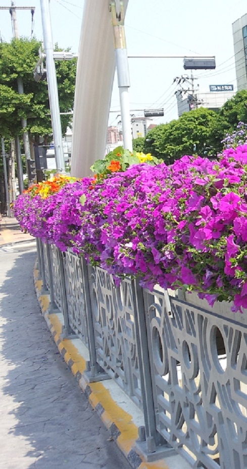 수원 진달래 꽃 동산, 기대가 큽니다_1