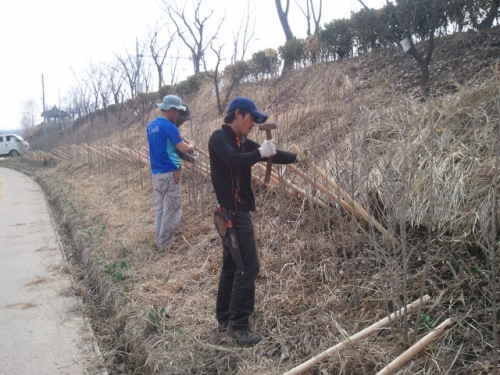 나라꽃 무궁화야! 무럭무럭 자라다오_2