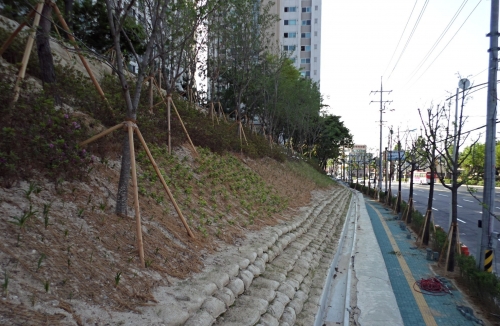여름철 장마대비 현장순찰 강화 재해대비 만전_1