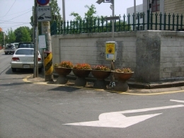 '쓰레기 무단투기' 반드시 뿌리 뽑는다_2