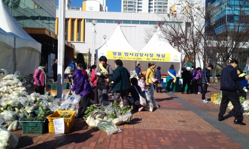 알뜰 임시김장시장 장안구, 영통구 개설_2