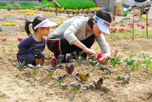 '여기산 커뮤니티 가든'의 텃밭에 빠지다_3