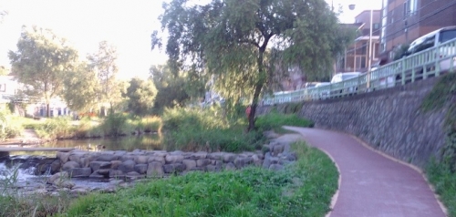 자전거를 타고 나가본 수원의 거리는?_1