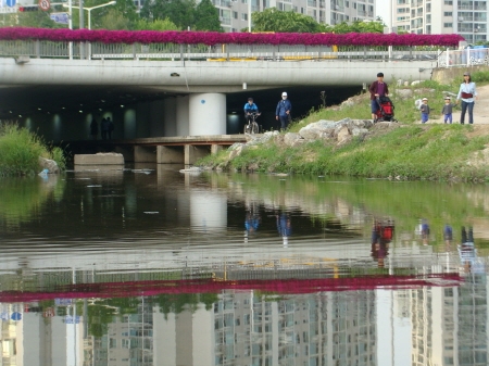 서호천변 육교 ‘봄꽃으로 꽃단장’ _1