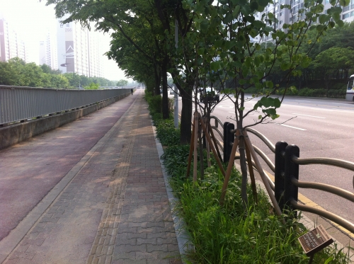자연 속 걷고싶은 거리로 변신한 정자천로_1