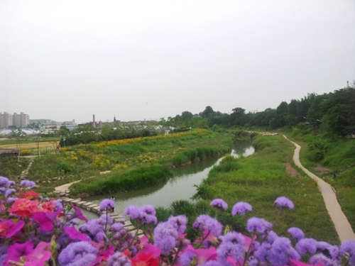 이 아름다운 길을 왜 걷지 않소?_1