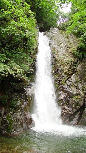 올여름에는 ‘폭포 답사’를 시도해보련다_1