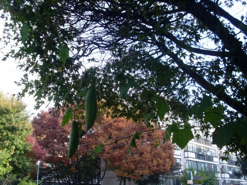 마을만들기, 생각보다 어렵지 않아요_1