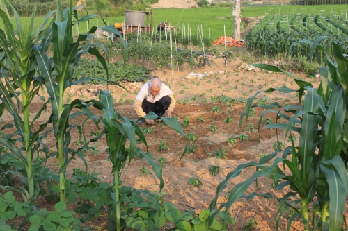 망중한을 즐기다_3