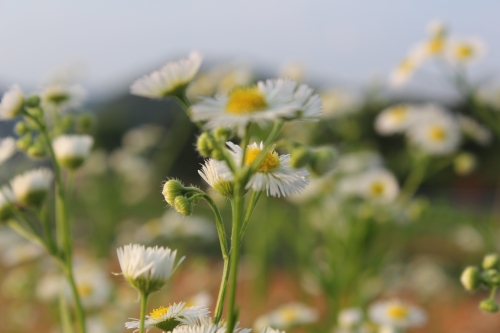 망중한을 즐기다_2