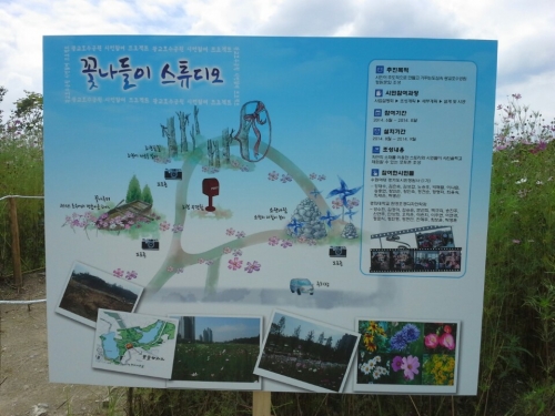 광교호수공원 시민참여 꽃들판 포토존_2