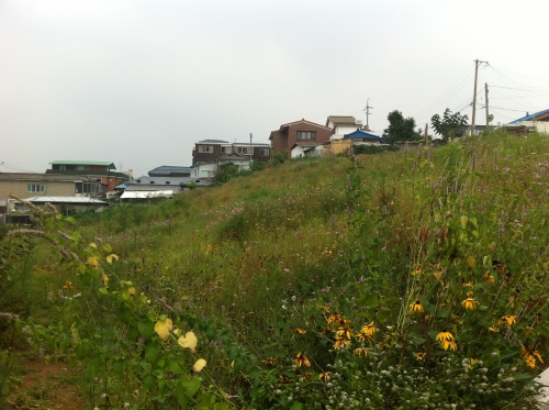 남수동,주민들을 위한 동네로 바뀐다_2