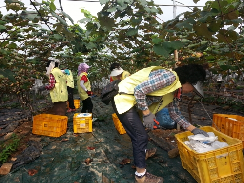 우정 넘친 화성시와 수원시 농산물 직거래 장터 _1