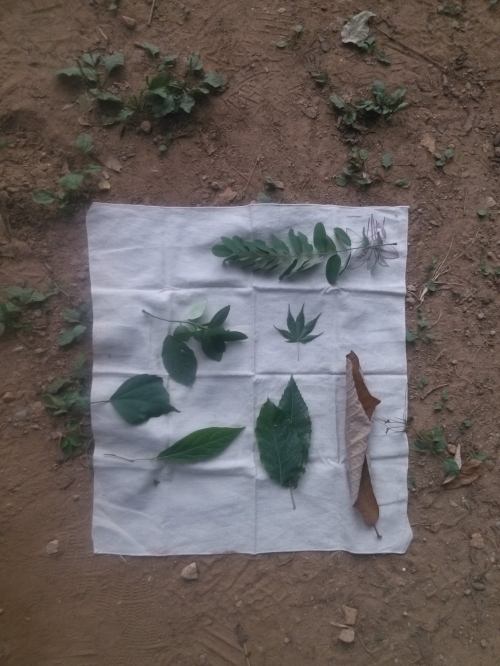 하루에 한번 멍한 상태가 주는 가치_1