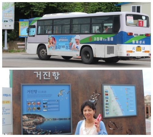 동해의 아름다움과 분단의 아픔_1