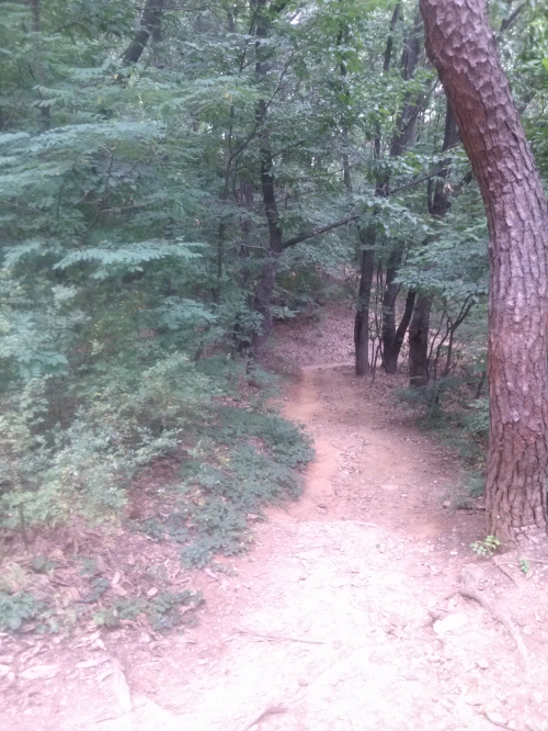 자기야, 정서적 이혼이라는 말 알아?_1