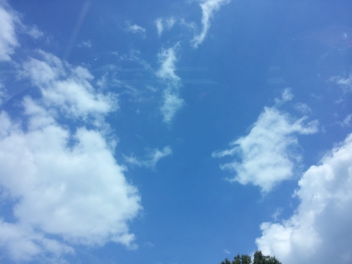 착한 손녀 배웅 받으며 먼길 떠난 할머니 '영면 하소서'_1