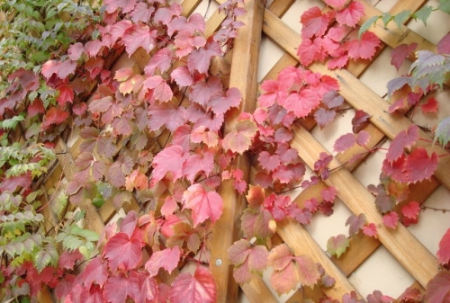 엄마! 저를 보세요_1