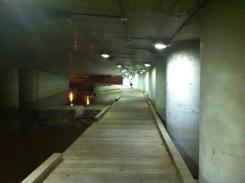 가을 저녁운동은 서호천에서 즐기세요_1