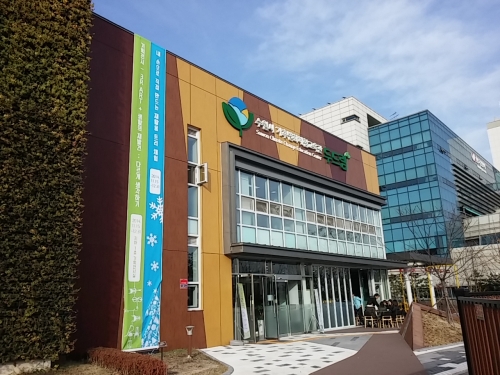 계란 판으로 트리를 만든다고?_1